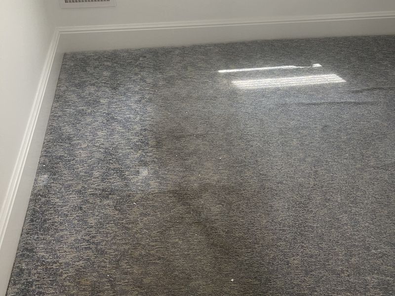 Blue bedroom carpet before deep cleaning by Dr Carpet, showing heavy traffic soil