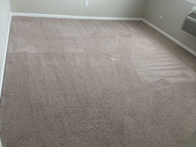 Carpet Cleaning by Dr Carpet