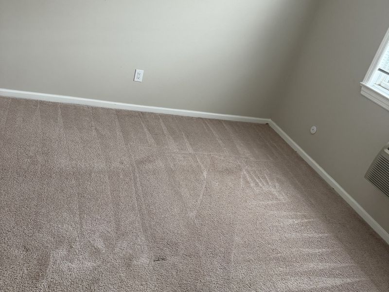 The same carpet after professional cleaning by Dr Carpet