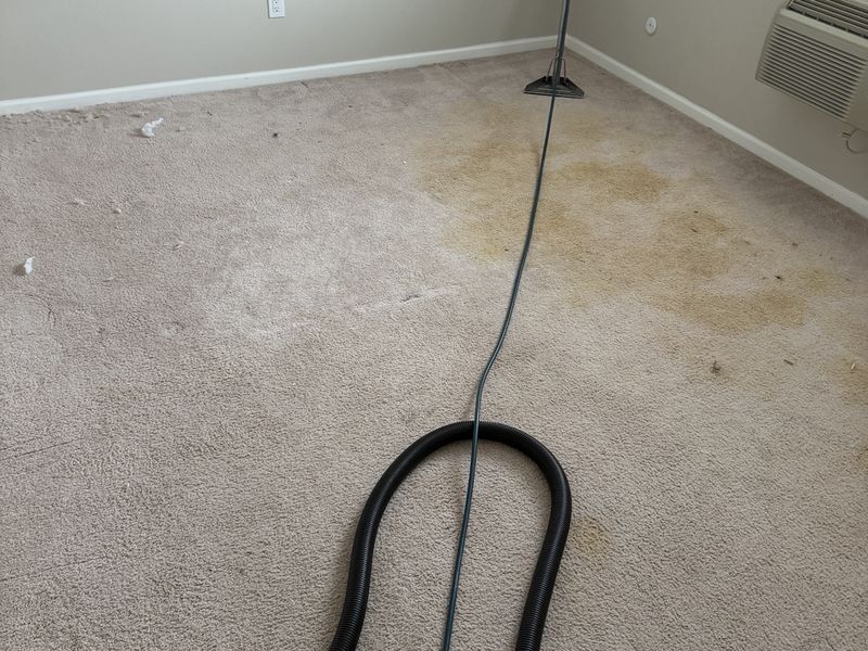 Carpet before professional cleaning by Dr Carpet