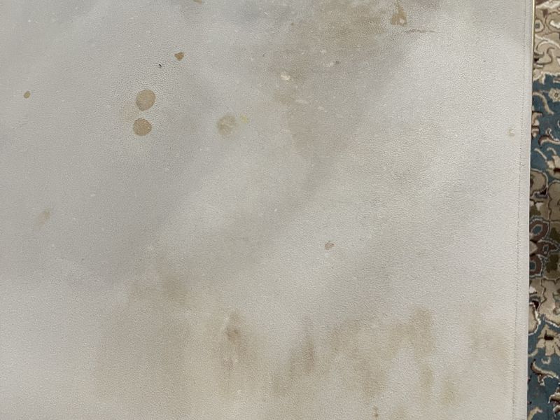 Pet Stain Removal by Dr Carpet